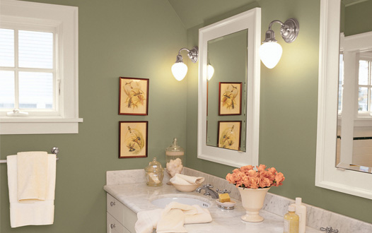 Bathroom Paint Ideas